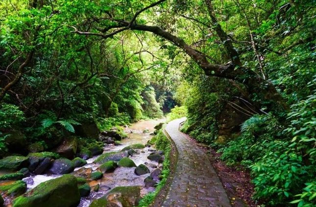 內湖爬山景點 內湖爬山景點