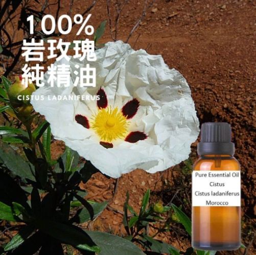 岩玫瑰精油配方 岩玫瑰精油配方