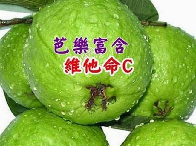 芭樂葉曬乾方法 芭樂葉曬乾方法
