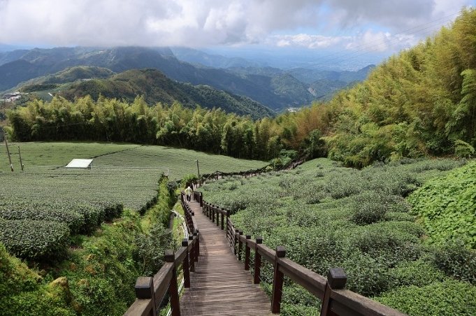 阿裡山旅遊攻略 阿裡山旅遊攻略