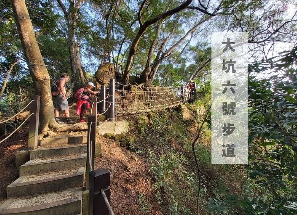 大坑步道挑戰 大坑步道挑戰