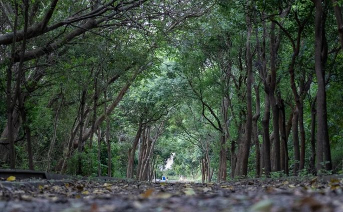 竹南登山步道 竹南登山步道