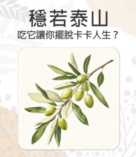橄欖健康益處 橄欖健康益處