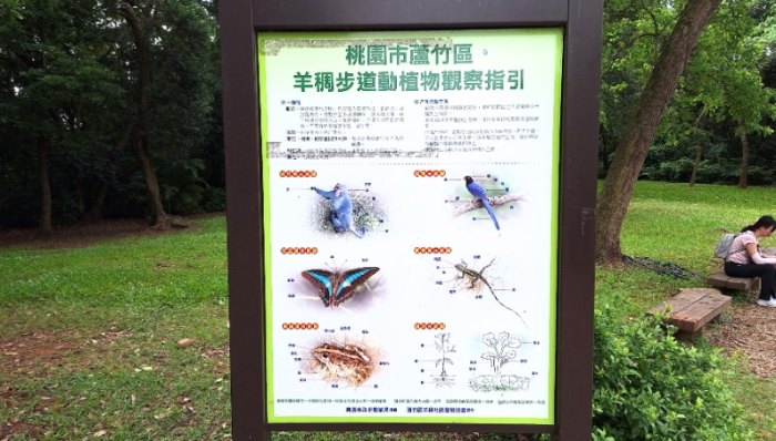 自然步道旅遊 自然步道旅遊