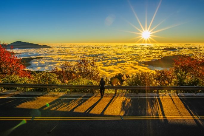 阿里山旅遊 阿里山旅遊