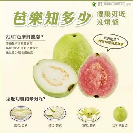 曬乾芭樂葉用途 曬乾芭樂葉用途
