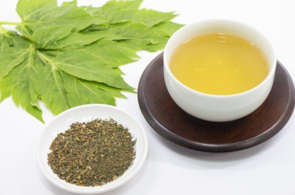 明日葉茶副作用 明日葉茶副作用