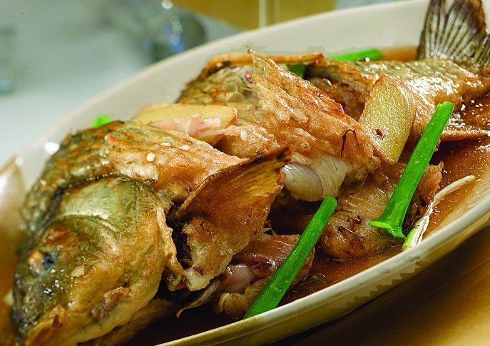 烏魚捕撈 烏魚捕撈