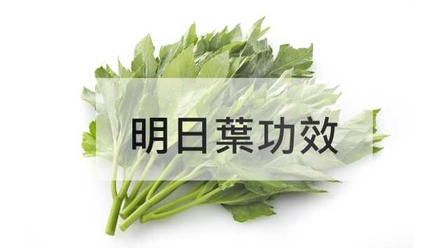 明日葉健康 benefits 明日葉健康 benefits