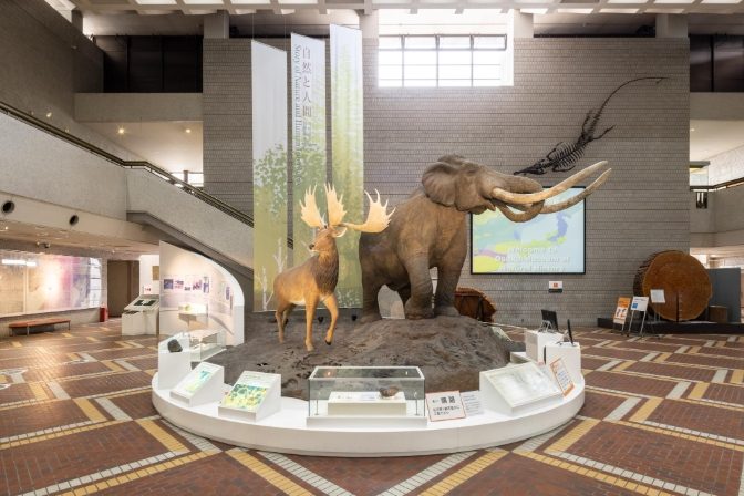大板博物館 展覽 大板博物館 展覽