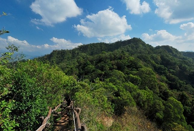 台中登山步道維護 台中登山步道維護