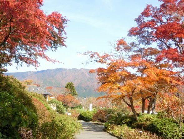 箱根旅遊景點 箱根旅遊景點