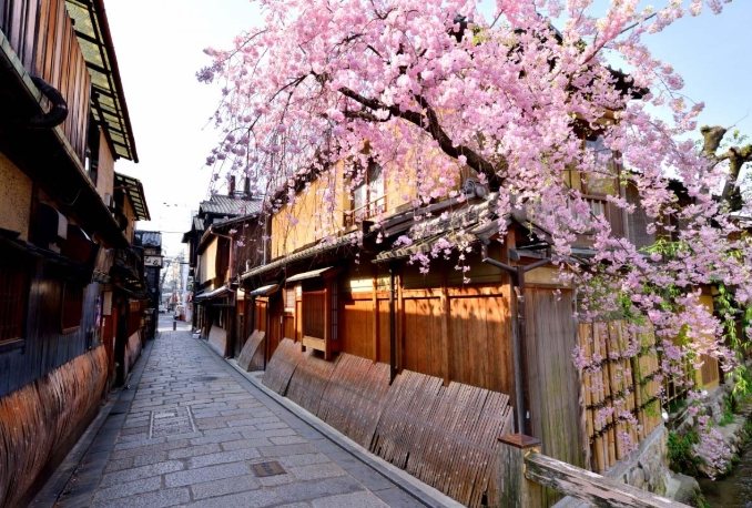 京都花見小路 京都花見小路