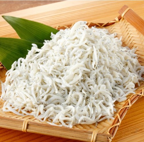 吻仔魚 生態 吻仔魚 生態