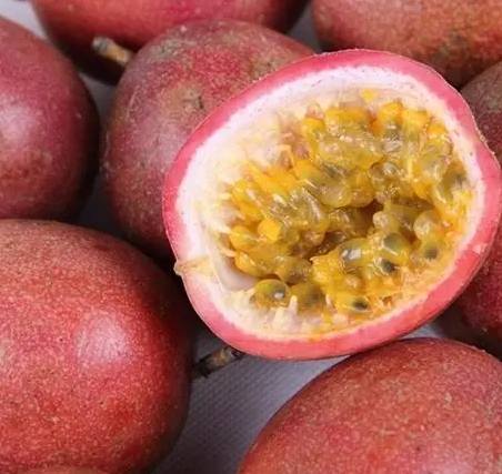 百香果皮食用 百香果皮食用