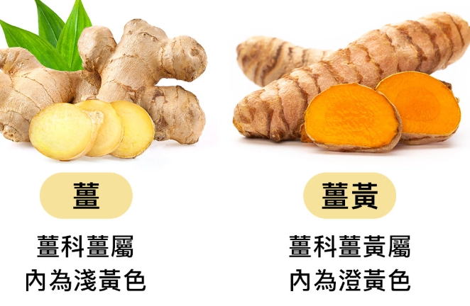 薑黃發燒功效 薑黃發燒功效