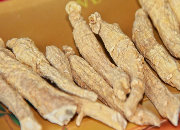 西洋参功效 西洋参功效