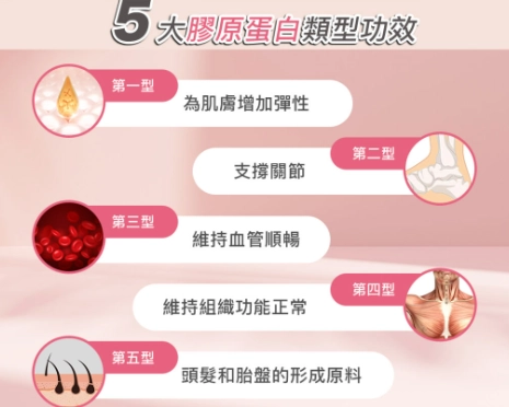 皮膚膠原蛋白流失 皮膚膠原蛋白流失
