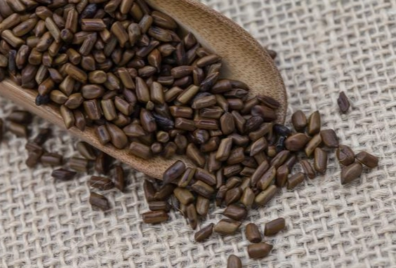 決明子泡茶 決明子泡茶