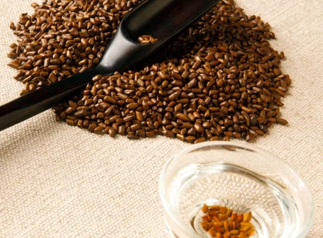 決明子肝毒性 決明子肝毒性