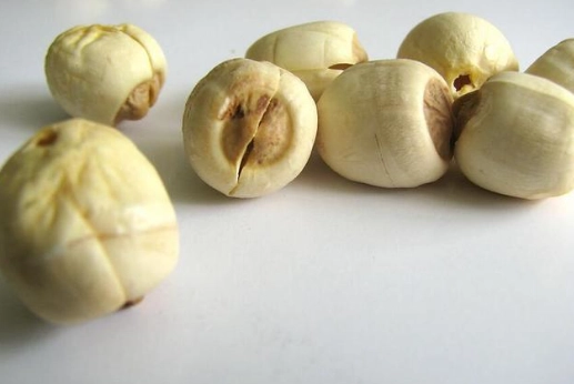 蓮子心茶功效 蓮子心茶功效