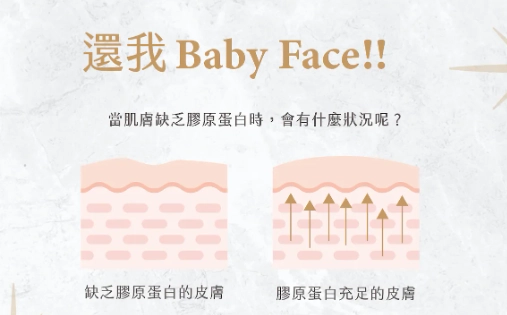 膠原蛋白補充方法 膠原蛋白補充方法