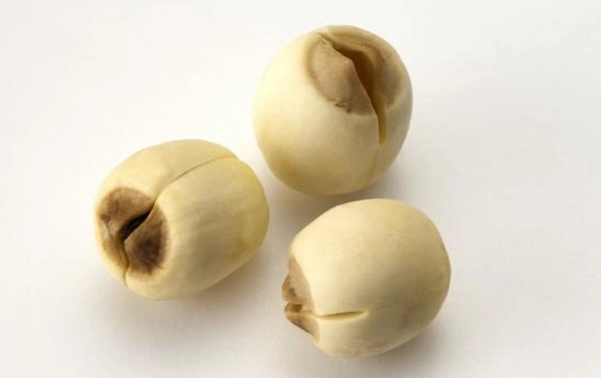 蓮子心中毒 蓮子心中毒