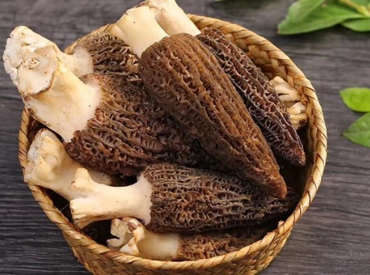 白蘿蔔料理 白蘿蔔料理
