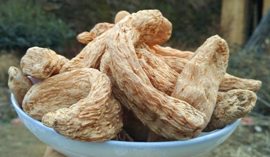 天麻中毒症狀 天麻中毒症狀