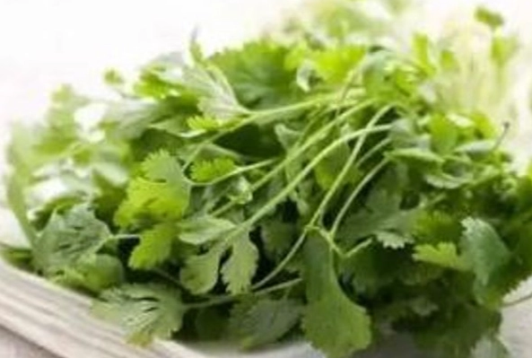 香菜健康風險 香菜健康風險