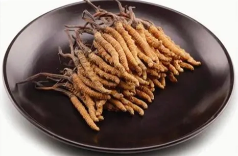 冬蟲夏草食用方法 冬蟲夏草食用方法