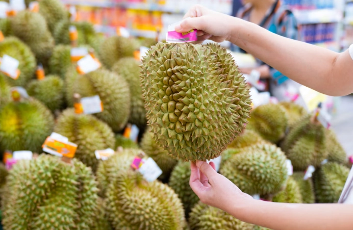 榴槤食用功效 榴槤食用功效