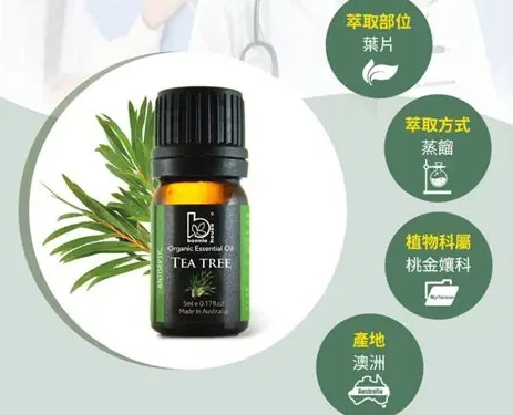 痘痘精油治療 痘痘精油治療