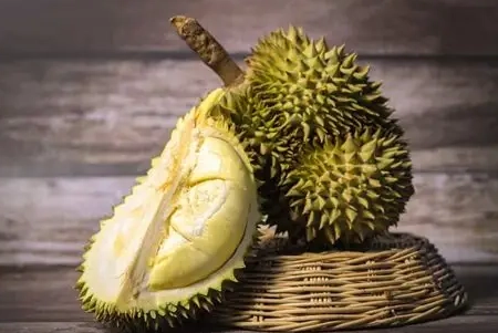 榴槤健康益處 榴槤健康益處