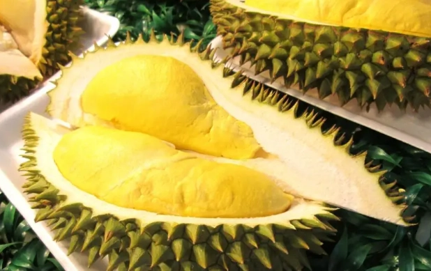 榴槤每日食用 榴槤每日食用
