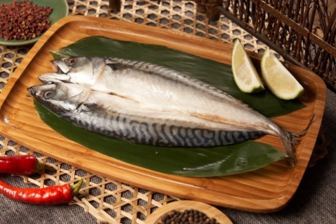 鯖魚營養價值 鯖魚營養價值