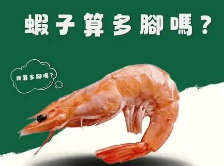 蝦子過敏症狀 蝦子過敏症狀
