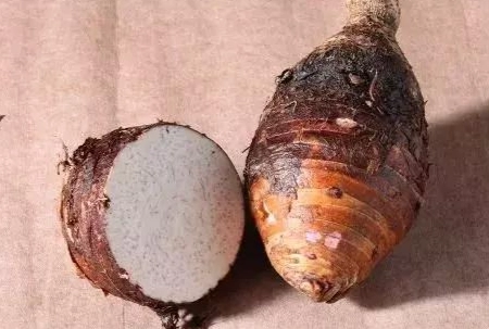 芋頭副作用 芋頭副作用