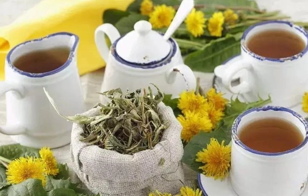 蒲公英茶副作用 蒲公英茶副作用