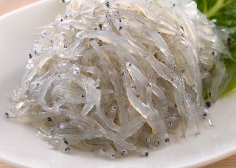 吻仔魚營養謠言 吻仔魚營養謠言