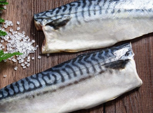 鯖魚蛋白質含量 鯖魚蛋白質含量