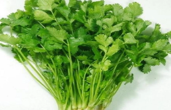 芫茜過敏 芫茜過敏