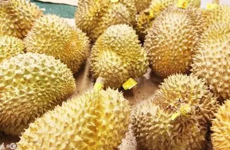榴槤熱量 榴槤熱量