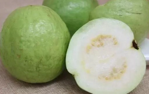 芭樂碳水化合物 芭樂碳水化合物