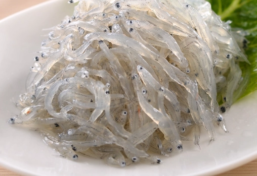 吻仔魚營養價值 吻仔魚營養價值