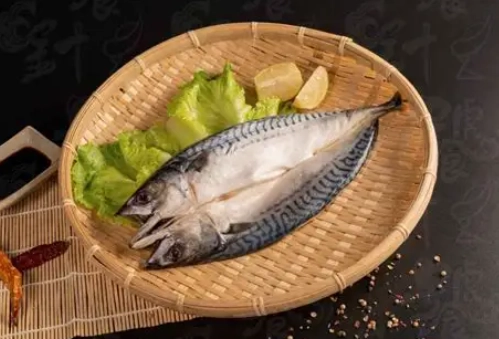 鯖魚蛋白質含量 鯖魚蛋白質含量