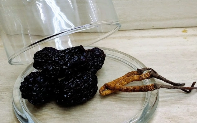 冬蟲草功效 冬蟲草功效