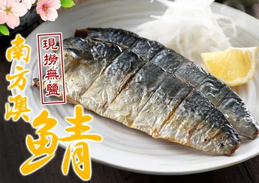 鯖魚營養價值 鯖魚營養價值