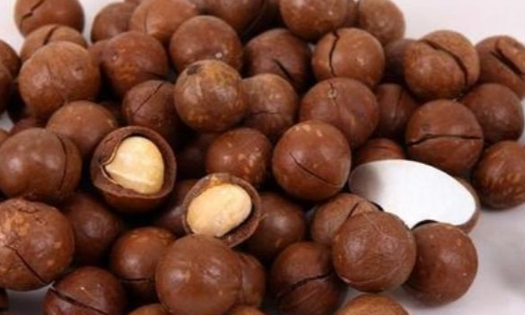 夏威夷果仁好處 夏威夷果仁好處