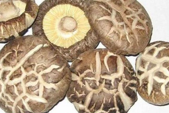 菇類食物相剋